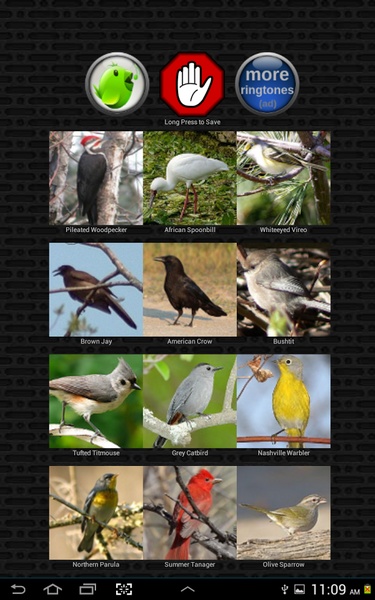 Classic Bird Calls - Preview 1