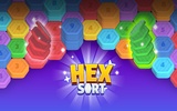 Hexa Sort: Color Puzzle Game screenshot 9