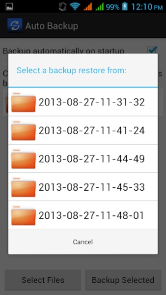 Auto Backup - Preview 2