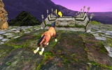 Wild Horse Hill Climb Rush screenshot 2