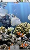 The real aquarium - LWP screenshot 7