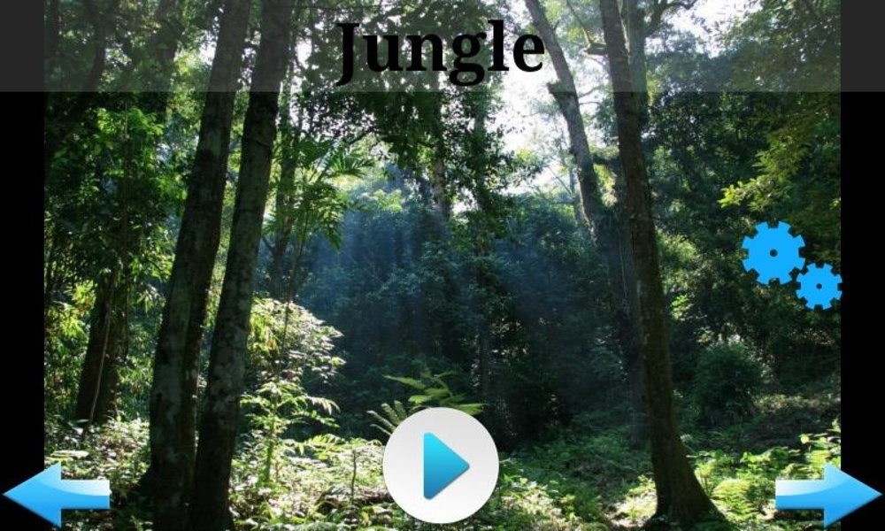 Best Nature Sounds - Preview 9