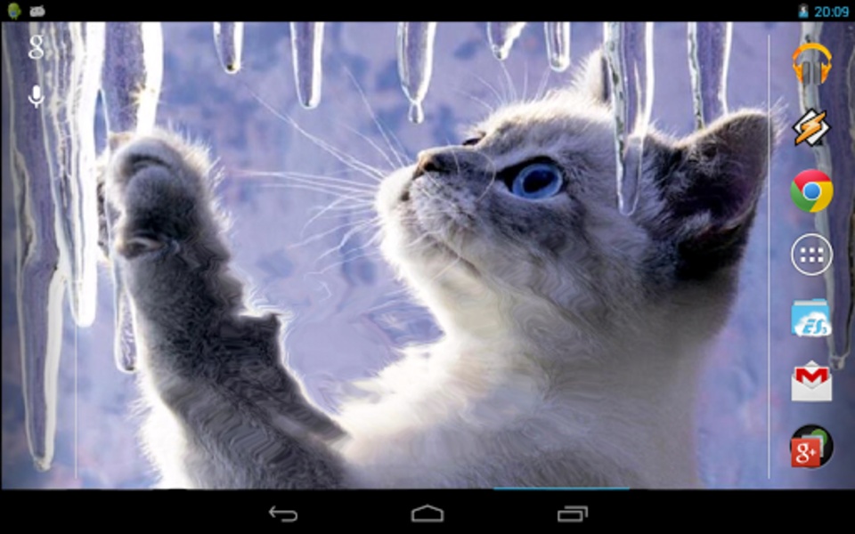 Interactive Kitten - Preview 1