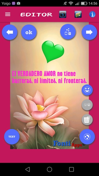 Notas Amor - Preview 4