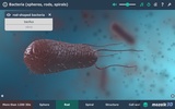 Bacteria interactive educational VR 3D screenshot 5