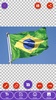 Brazil Flag Wallpaper: Flags and Country Images screenshot 7