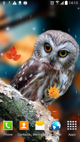 Autumn Live Wallpaper - Preview 14