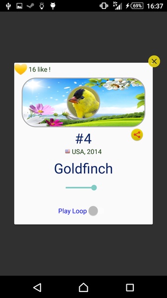 Goldfinch Hybrid Trainer - Preview 2