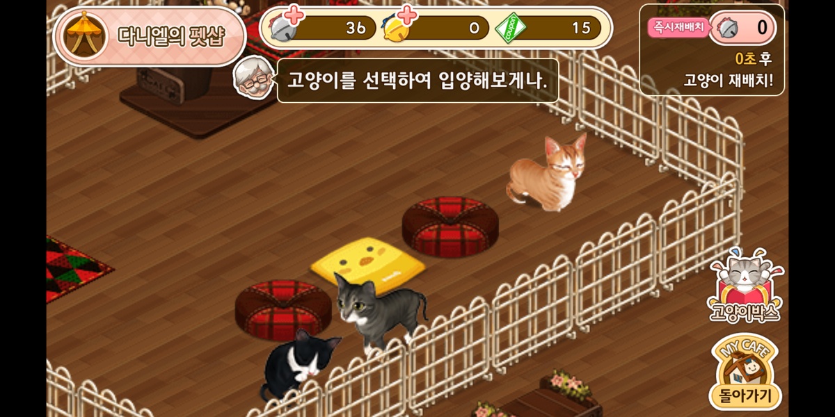 Cat Cafe - Preview 3