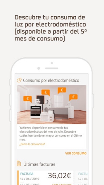 Tu Oficina Online Luz y Gas - Preview 13