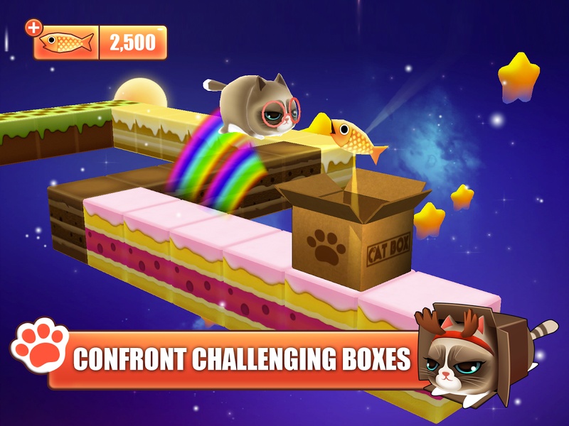 Kitty in the Box - Preview 3
