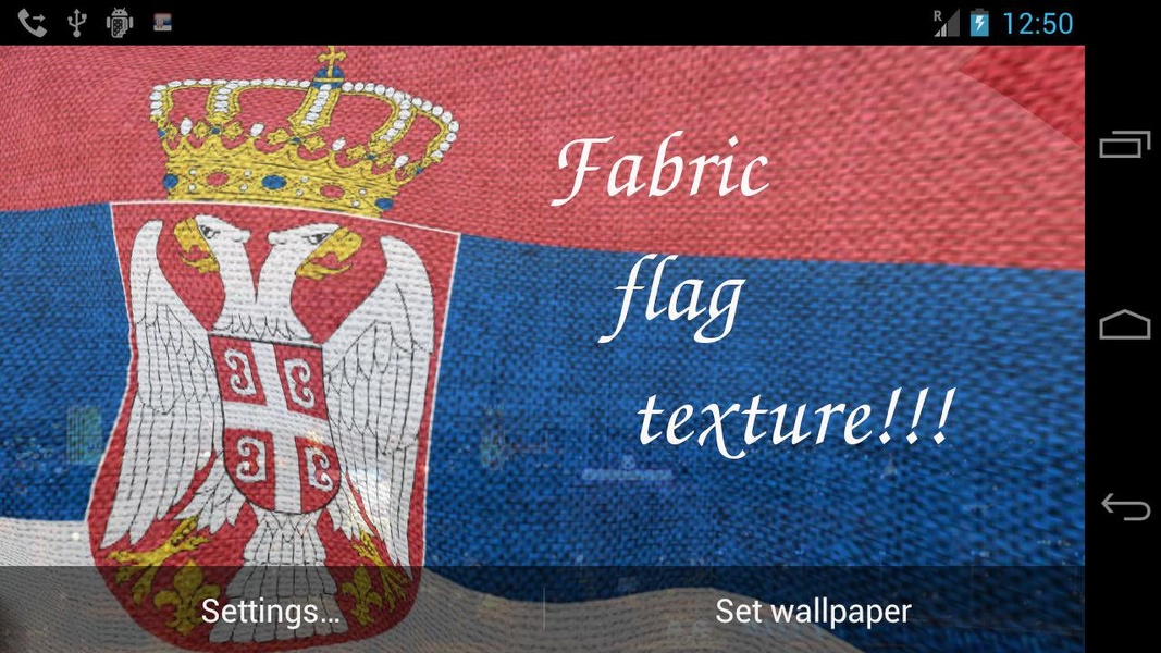 Serbia Flag - Preview 4