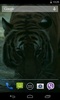 Tiger screenshot 2