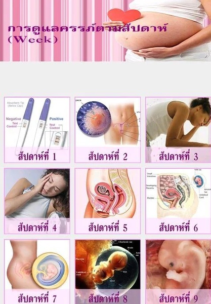 PregnantCare - Preview 3