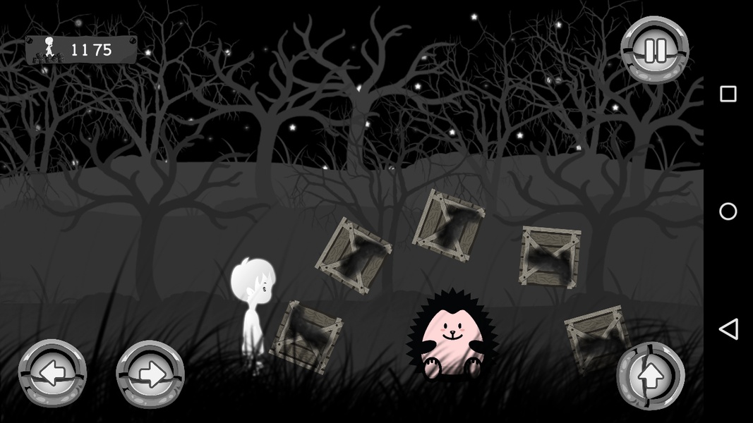 Forest Night - Preview 3