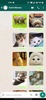 Cat Stickers | WAStickerApps screenshot 5