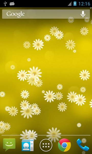 Daisy Flower - Preview 2