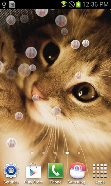 Cute Cat - Preview 2