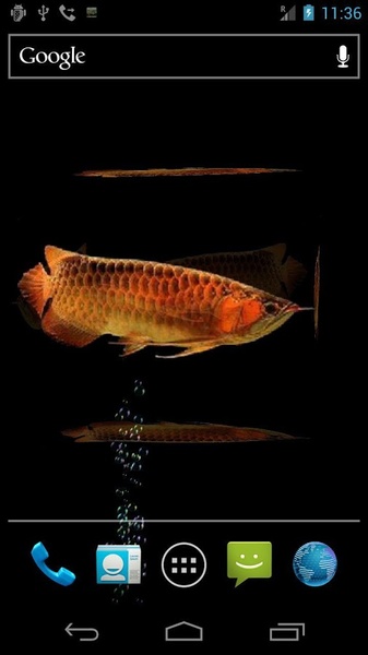 Arowana Free - Preview 3