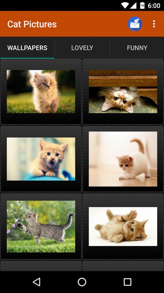 Cat Pictures - Preview 4