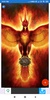 Phoenix Wallpapers: HD images, Free Pics download screenshot 7