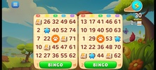 Bingo Wild screenshot 6