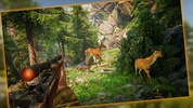 Deer Hunting 3D screenshot 3