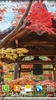 Zen Garden Live Wallpaper screenshot 11