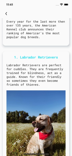 DoggoTheLove - Preview 7