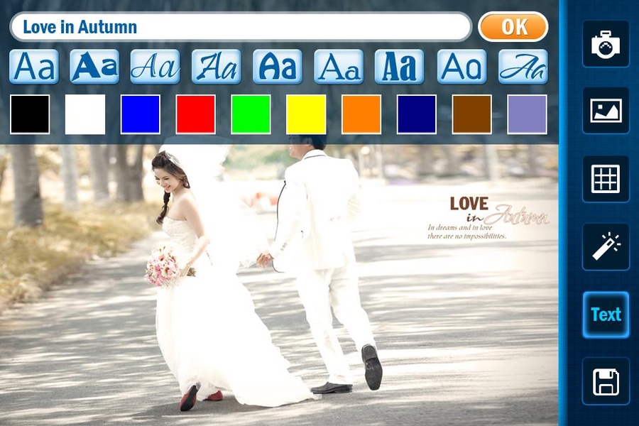 Wedding Photo Frames - Lovely - Preview 4