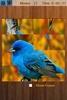 Birds Jigsaw Puzzles Game screenshot 13