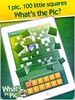 Whats the Pic? screenshot 4