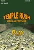 Temple Rush Maxx Adventure screenshot 5