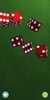 Real Dice screenshot 4