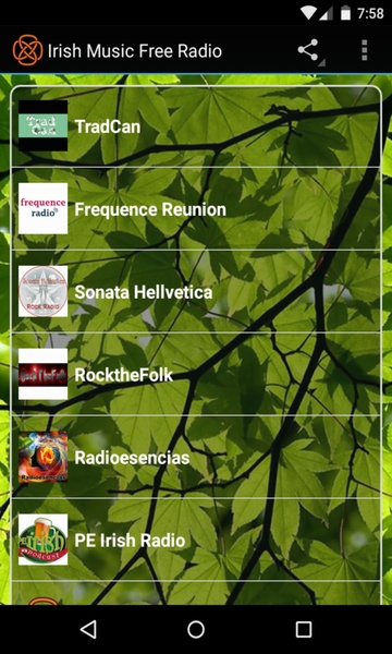 Irish Music Free Radio - Preview 4