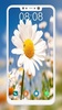 Flower Wallpaper screenshot 6