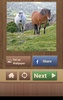 Jogos de Quebra-Cabeça Cavalos screenshot 1