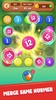 Number Bubble Puzzle screenshot 5