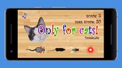 Only For Cats screenshot 12