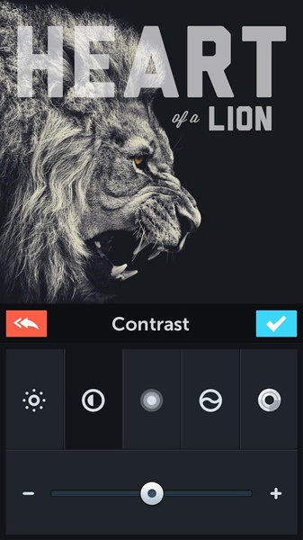PicLab - Photo Editor - Preview 11
