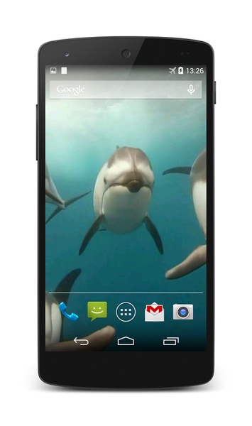 Dolphins Live Wallpaper - Preview 6