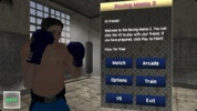 Boxing Mania 2 screenshot 7
