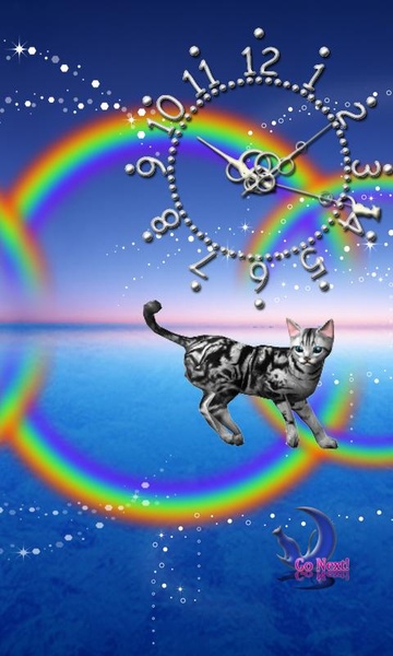 American Shorthair - Preview 1