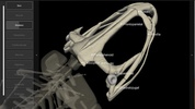 3D Frog Skeleton screenshot 10