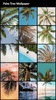Palm Tree Wallpapers screenshot 7