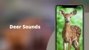 Deer sounds HD screenshot 8