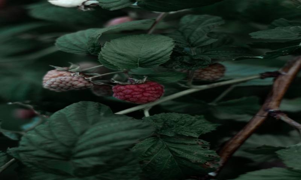 The most beautiful pictures and backgrounds of the natures part 3 - Preview 2