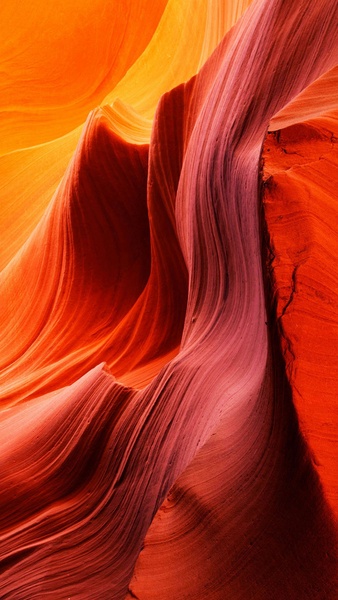 Wallpaper Safari - Preview 7