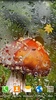 Mushrooms Live Wallpaper screenshot 6