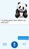 Talking Panda 2 screenshot 2